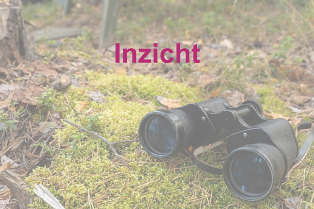 Inzicht