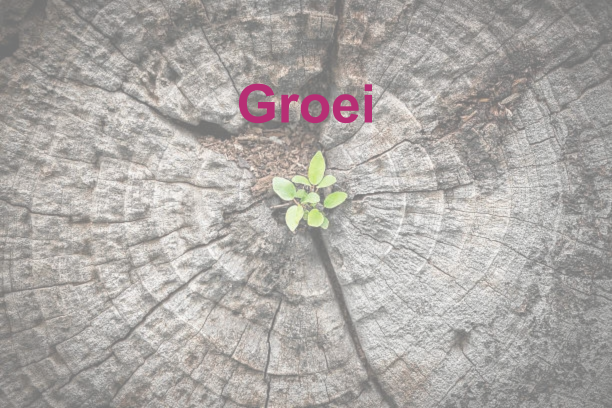 Groei